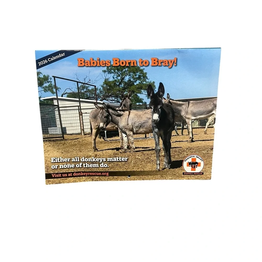 2026 Wall Calendar Babies Born To Bray Peaceful Valley Donkey Rescue 13 Month